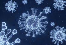 DSÖ YETKİLİLERİ ARTIK İYİMSER MESAJLAR VERMEYE BAŞLADI.