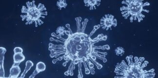 DSÖ YETKİLİLERİ ARTIK İYİMSER MESAJLAR VERMEYE BAŞLADI.