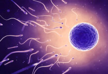 Erkek kısırlığına neden olabilecek yeni genetik mekanizma tespit edildi!