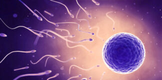 Erkek kısırlığına neden olabilecek yeni genetik mekanizma tespit edildi!