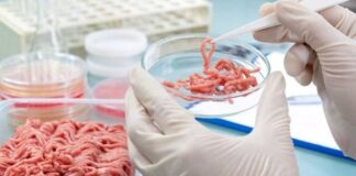 Hollanda, vejeteryanların ülkesi olma yolunda; yapay et tüketim denemelerine başlanıyor!