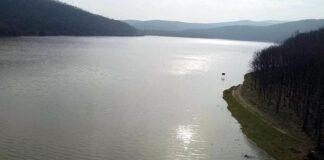 İkisi yüzde 100; ötekiler geçen yıldan iyi!