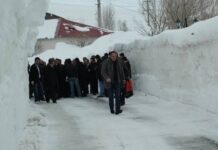 Bitlis ve Muş’da eğitime kar engeli