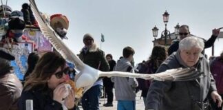 En ‘şakacı’ silahlanma; Bir otel, konuklarını martı saldırılarından korumak için su tabancalarıyla silahlandırıyor!