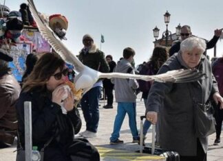 En ‘şakacı’ silahlanma; Bir otel, konuklarını martı saldırılarından korumak için su tabancalarıyla silahlandırıyor!