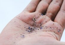 Bir ilk:İnsan kanında mikroplastik bulundu; parçacıkların organlara yerleşebileceği anlaşıldı.