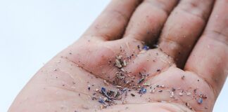 Bir ilk:İnsan kanında mikroplastik bulundu; parçacıkların organlara yerleşebileceği anlaşıldı.