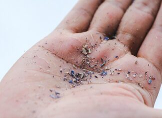 Bir ilk:İnsan kanında mikroplastik bulundu; parçacıkların organlara yerleşebileceği anlaşıldı.