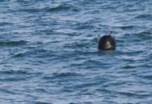 Akar: İstanbul Boğazı’nda bulunan mayın etkisiz hale getirildi