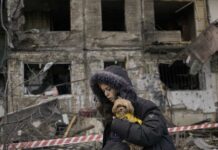 Ukrayna’da Savaşın Gölgesinde Kedi ve Köpekler