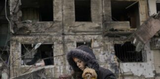 Ukrayna’da Savaşın Gölgesinde Kedi ve Köpekler