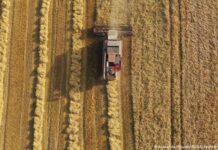 Yürürlüğe girdi; Ukrayna’dan ithal edilen tarım ürünlerinde sertifika ve belge aranmayacak.