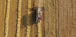 Yürürlüğe girdi; Ukrayna’dan ithal edilen tarım ürünlerinde sertifika ve belge aranmayacak.