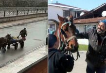Yorulan atının arabasını kendisi çekti; Yürekleri ısıttı!