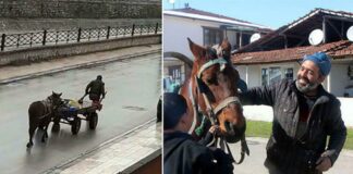 Yorulan atının arabasını kendisi çekti; Yürekleri ısıttı!