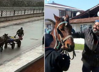 Yorulan atının arabasını kendisi çekti; Yürekleri ısıttı!