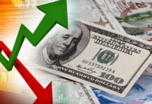 Merkez Bankası piyasanın dolar, faiz ve enflasyon beklentisini açıkladı.