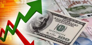 Merkez Bankası’nın faiz kararı sonrası Euro ve dolar yükselişe geçti