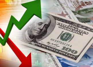Merkez Bankası piyasanın dolar, faiz ve enflasyon beklentisini açıkladı.