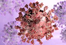 BA.2 korkutuyor; ABD’de baskın hale geliyor!