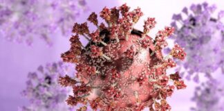 BA.2 korkutuyor; ABD’de baskın hale geliyor!