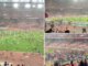 Bu nasıl spor? Seyirciler futbolcuları kovaladı, kulübeyi parçaladı, polisle çatıştı, doktoru döverek öldürdü!