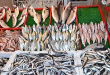 Mayın korkusu balıkçıları avdan etti; balık fiyatları fırladı!