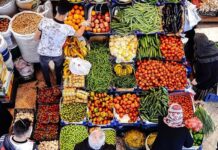 Kabak, karnabahar, marul…