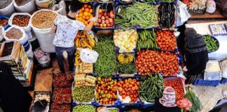 Kabak, karnabahar, marul…