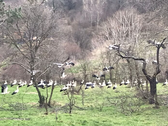 10420220930085368969_1