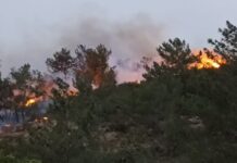 Bodrum’da ormanlık ve makilik alanda yangın!