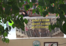 Gümüşhane’de ‘kitap sever’ bir limon ağacı var: Ancak, bir sorun yüzünden ” endişeli’!