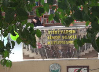 Gümüşhane’de ‘kitap sever’ bir limon ağacı var: Ancak, bir sorun yüzünden ” endişeli’!