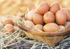 Yumurta Üreticileri Derneği; “Yumurtaya zam gelecek”