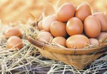 Yumurta Üreticileri Derneği; “Yumurtaya zam gelecek”