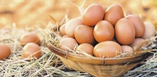 Yumurta Üreticileri Derneği; “Yumurtaya zam gelecek”