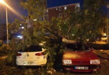 Fırtına Edirne’yi ‘dağıttı’… Çatılar uçtu, ağaçlar devrildi, yollar kapandı, vatandaşlar yaralandı