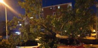 Fırtına Edirne’yi ‘dağıttı’… Çatılar uçtu, ağaçlar devrildi, yollar kapandı, vatandaşlar yaralandı
