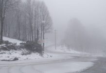 Bunun Adı , Nisan Karı!