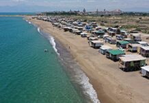 Antalya’da Caretta caretta’ları ‘evsiz’ bırakan ‘evcikler’ yıkılacak!