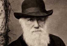 Darwin’in 22 yıl önce çalınan milyonlarca sterlin değerindeki iki not defteri esrarengiz bir şekilde yerine geri bırakıldı.