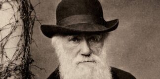 Darwin’in 22 yıl önce çalınan milyonlarca sterlin değerindeki iki not defteri esrarengiz bir şekilde yerine geri bırakıldı.