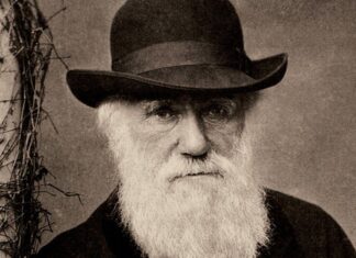 Darwin’in 22 yıl önce çalınan milyonlarca sterlin değerindeki iki not defteri esrarengiz bir şekilde yerine geri bırakıldı.