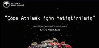 Bir sergi’den daha fazlası: Bir yanda varlık sonucu israf; ötede yoklukla gelen ölüm!