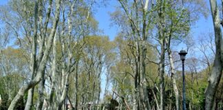 Üç Gün Daha Dayan İstanbullu: Cuma Günü 23!