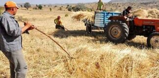 Çiftçi sayısı azaldı, esnaf sayısı arttı!