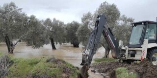 Yargı, Zeytinliklerin maden sahalarına dönüştürülmesini durdurdu.