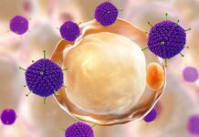 DSÖ, ‘gizemli’ hepatit virüsünden bir çocuğun hayatını kaybettiğini duyurdu