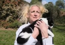 Evcil hayvan istemeyen ev sahiplerine ders: Kedisiyle evlenip evin ‘nikahlı’ üyesi haline getirdi!