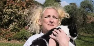 Evcil hayvan istemeyen ev sahiplerine ders: Kedisiyle evlenip evin ‘nikahlı’ üyesi haline getirdi!